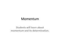 Momentum - SFP Online!