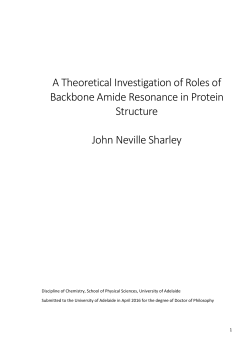 A Theoretical Investigation of Roles of Backbone Amide Resonance