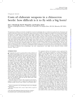 PDF - College of Humanities and Sciences