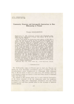 Community Structure and Interspecific Interactions in Bats