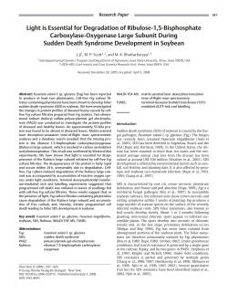 Light is Essential for Degradation of Ribulose-1,5