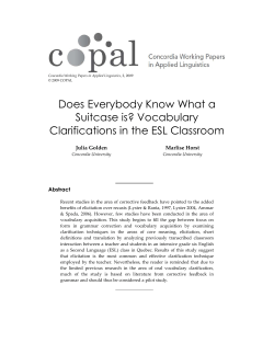 Does Everybody Know What a Suitcase is? Vocabulary