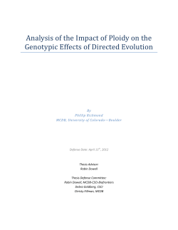 Analysis of the Impact of Ploidy on the Genotypic Effects of Directed