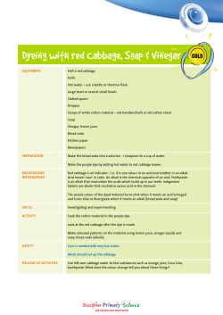 Dyeing with Red Cabbage, Soap and Vinegar