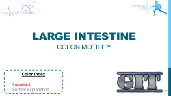 6-Physiology of Large Intestine