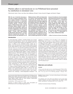 Platelets adhere to and translocate on von Willebrand factor