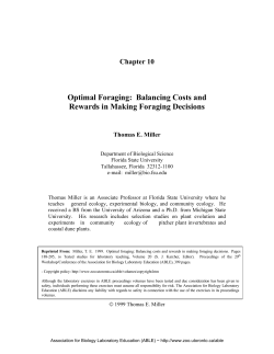 Optimal Foraging: Balancing Costs and Rewards in Making