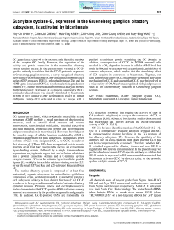 Guanylate cyclase-G, expressed in the Grueneberg ganglion