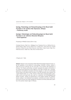 Geology, Paleontology and Paleoanthropology of the Mount Galili