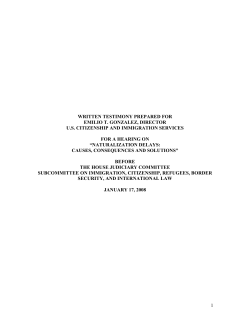 Testimony on Surge Plan