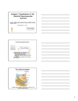 Synaptic Transmission and the Neuro