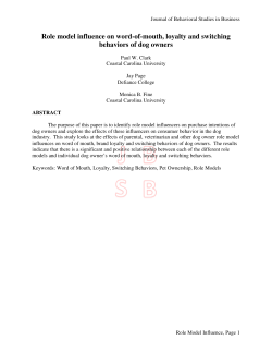 Role model influence on word-of-mouth, loyalty and
