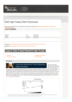 Q5&reg; High-Fidelity DNA Polymerase - New England Biolabs
