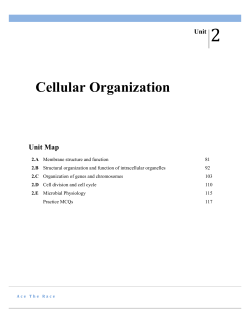 Cellular Organization