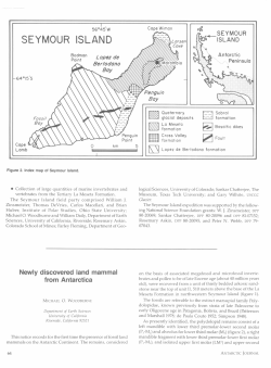 Newly discovered land mammal from Antarctica