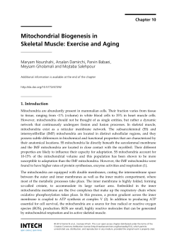Mitochondrial Biogenesis in Skeletal Muscle: Exercise