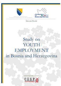 Study on YOUTH EMPLOYMENT in Bosnia and Herzegovina