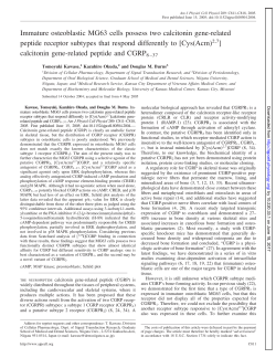 Immature osteoblastic MG63 cells possess two calcitonin - AJP-Cell