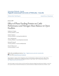 Effect of Phase Feeding Protein on Cattle Performance and Nitrogen