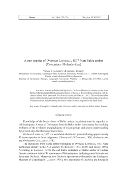 Alekseev V.I., Bukejs A.