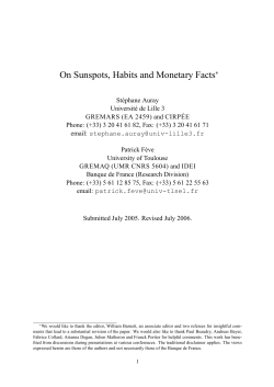 On Sunspots, Habits and Monetary Facts