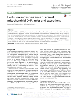 Evolution and inheritance of animal mitochondrial DNA: rules and