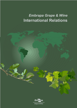 International Relations