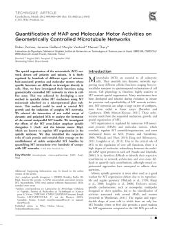 Quantification of MAP and molecular motor activities on