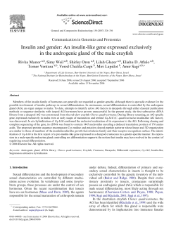 Insulin and gender: An insulin-like gene expressed exclusively in