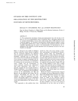 studies on the content and organization of the respiratory enzymes