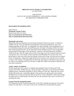 title: woolly mammoth ressurrection