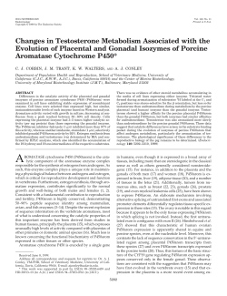 Changes in Testosterone Metabolism Associated with the Evolution