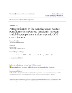 Nitrogen fixation by the cyanobacterium Nostoc punctiforme in