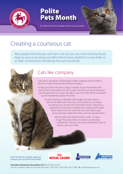 Creating a courteous cat - Australian Veterinary Association