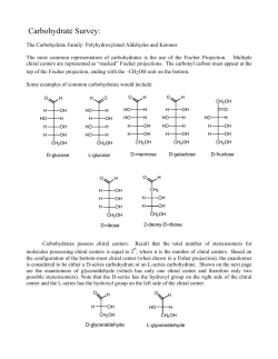 Carbohydrate Survey