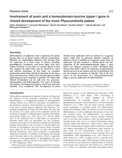 Involvement of auxin and a homeodomain