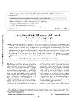 Gene Expression in Fibroblasts and Fibrosis