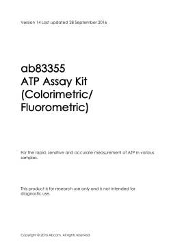 ab83355 ATP Assay Kit (Colorimetric/ Fluorometric)