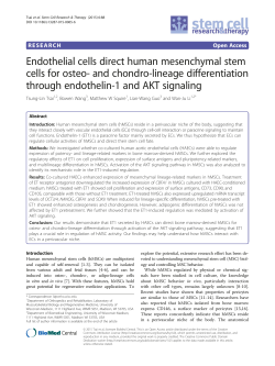 Endothelial cells direct human mesenchymal stem cells for osteo