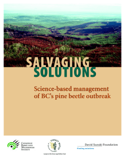 Salvaging Solutions: Science-based