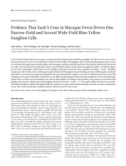 Evidence That Each S Cone in Macaque Fovea Drives One Narrow
