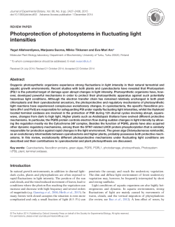Photoprotection of photosystems in fluctuating
