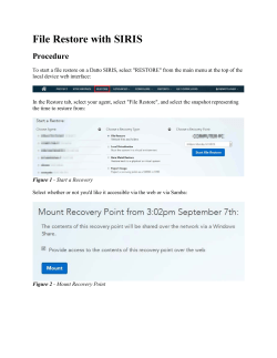 File Restore with SIRIS