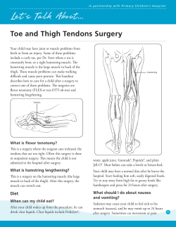 Care for toe and thigh tendons