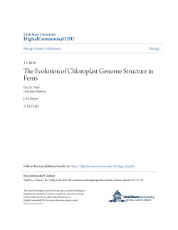 The Evolution of Chloroplast Genome Structure in Ferns