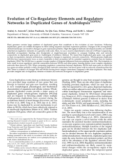 Evolution of Cis-Regulatory Elements and Regulatory Networks in