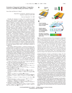 Formation of Supported Lipid Bilayer Composition Arrays by