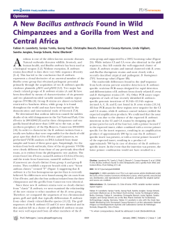 A New Bacillus anthracis Found in Wild Chimpanzees and a
