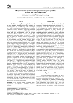 progesterone, prostaglandins, oxytocin and ADAMTS proteases