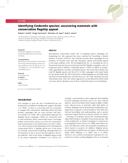 Identifying Cinderella species: uncovering